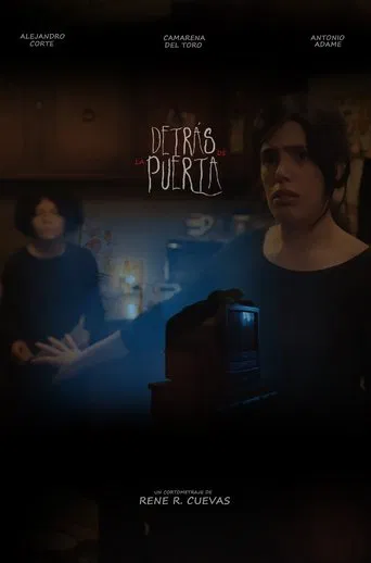DETRÁS DE LA PUERTA poster