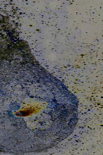 Water Balloon poster