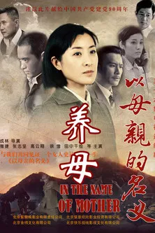养母 poster