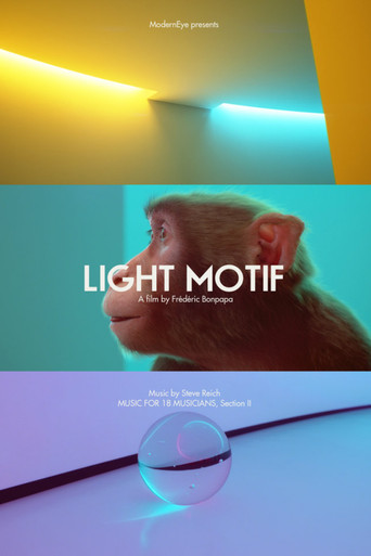 Light Motif poster