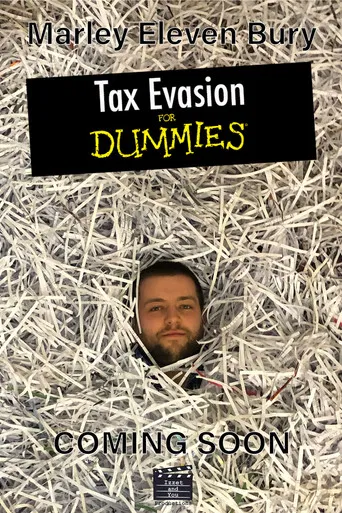 Tax Evasion for Dummies poster