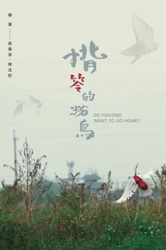 Do Pigeons Want to Go Home? poster
