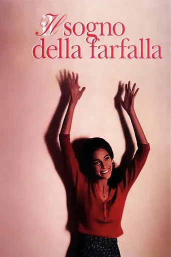 The Butterfly's Dream poster