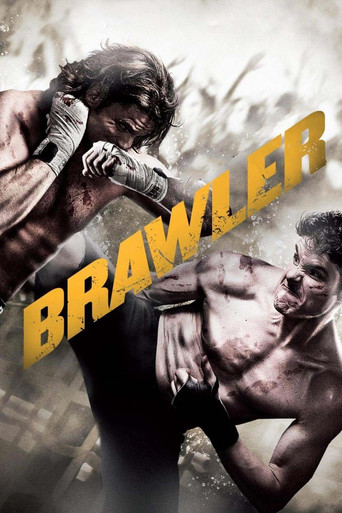 Brawler poster
