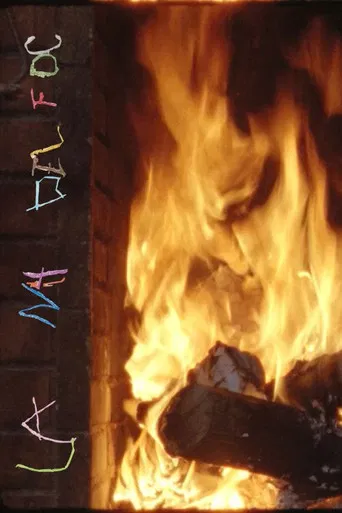 La Nit del Foc poster