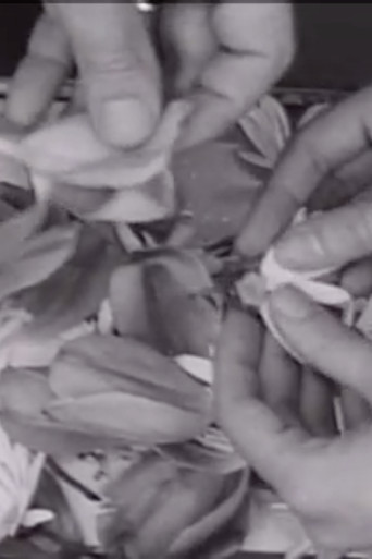 The Clouds That Touch Us Out of Clear Skies poster