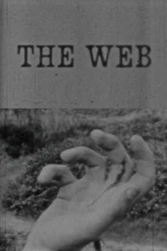 The Web poster