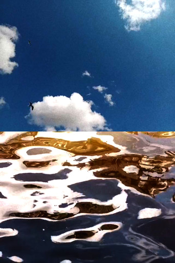 Landscape For Birds poster