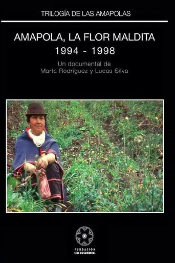 Amapola: la flor maldita poster
