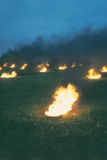 Landscape for Fire poster