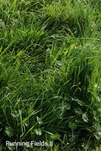 Running Fields II poster