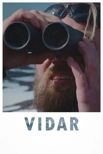 Vidar poster