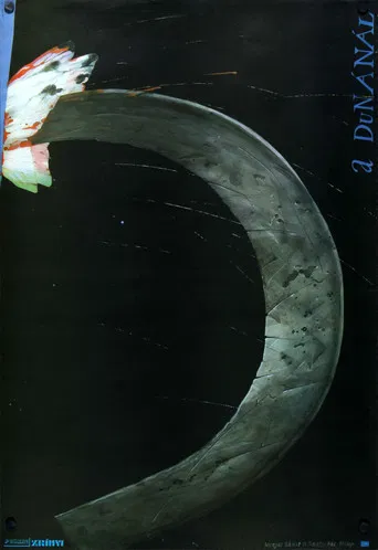 By the Danube poster