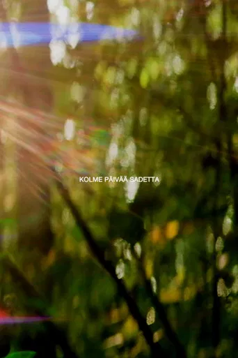 Three Days of Rain poster