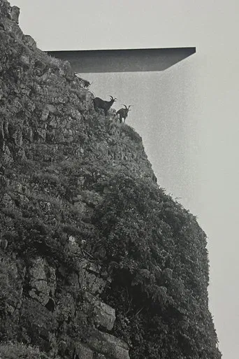 Orchid Island poster