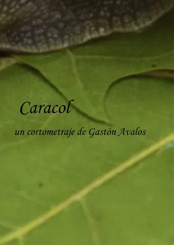 Caracol poster