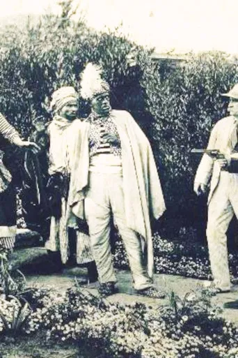 The White Panther poster