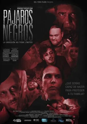 Pájaros negros poster