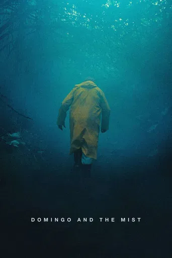 Domingo and the Mist poster