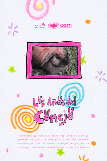 The Years of the rabbit poster