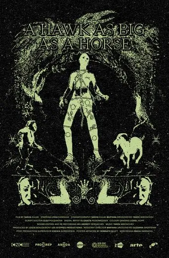 A Hawk As Big As a Horse poster