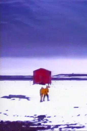 Winter Journey poster