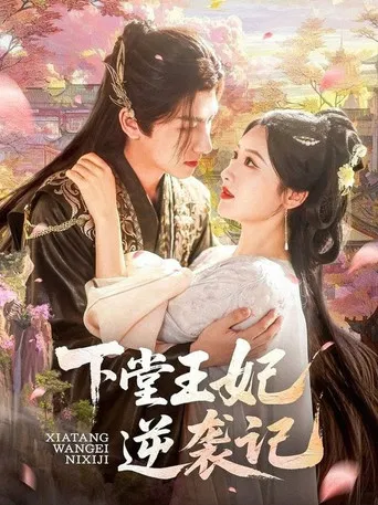 下堂王妃逆袭记 poster