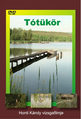Tótükör poster