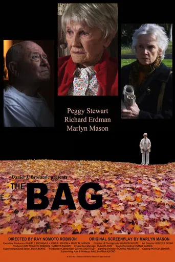 The Bag poster
