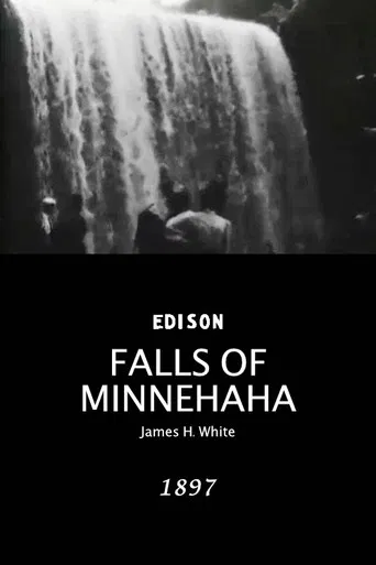 Falls of Minnehaha poster