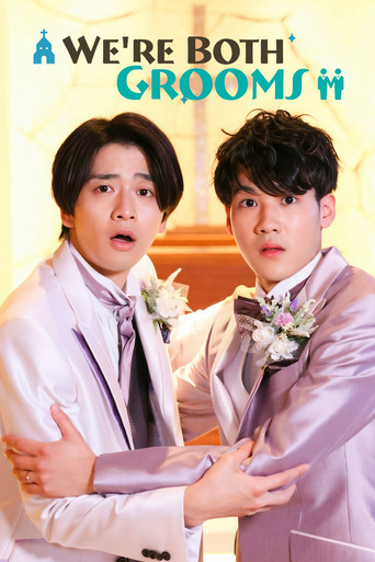 We're Both Grooms poster