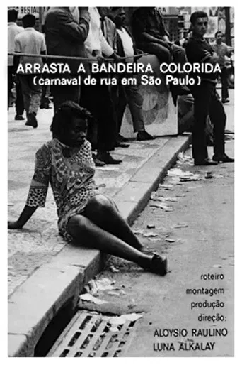 Arrasta a Bandeira Colorida poster