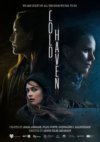 Cold Haven poster