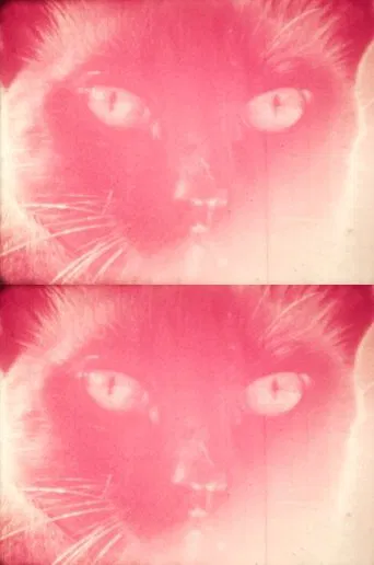 Priscilla's Dream poster