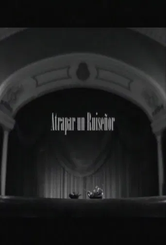 Atrapar un ruiseñor poster