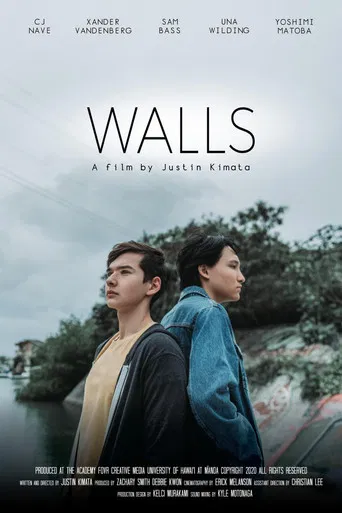Walls poster