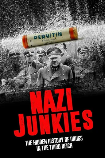 Hitler's Junkies poster