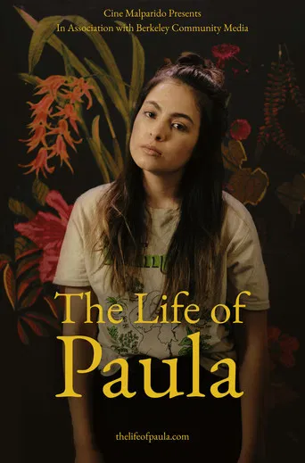 The Life of Paula poster