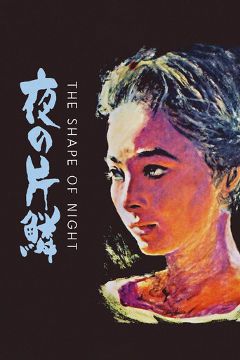 The Shape of Night poster