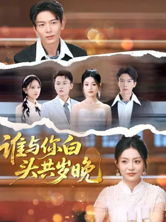 谁与你白头共岁晚 poster