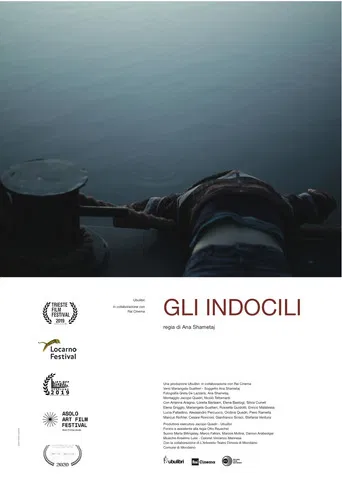 Gli indocili poster