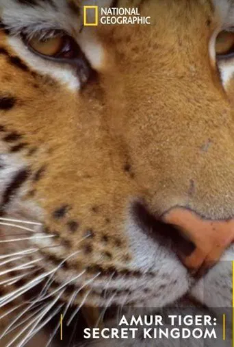 Siberian Tiger, The Secret Kingdom poster