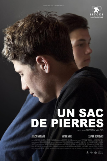 Un sac de pierres poster