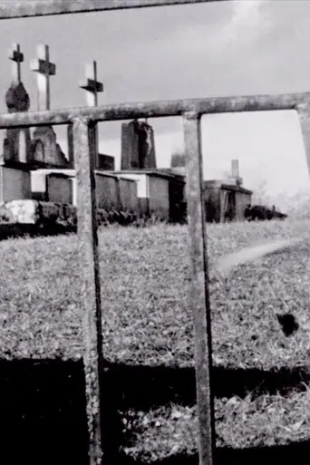 Passport Is Sound poster