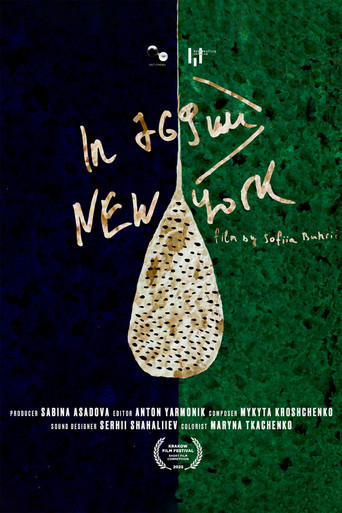 In 769 km, New York poster