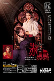 The Red and the Black poster