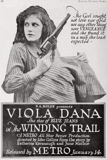 The Winding Trail poster
