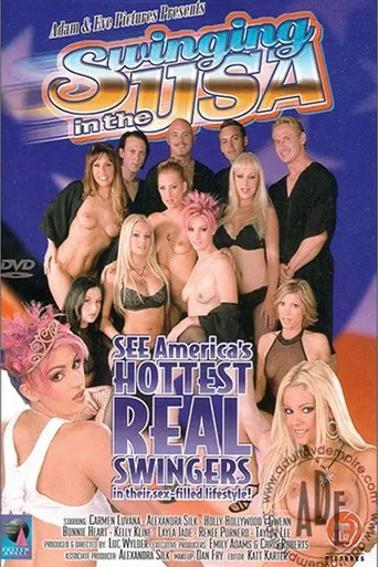 Swinging In The USA poster