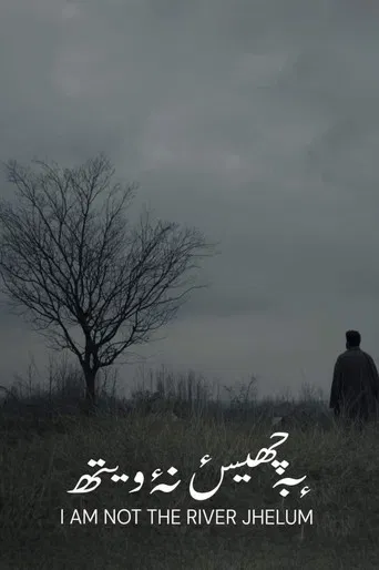 I'm Not The River Jhelum poster