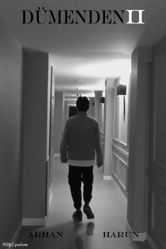 Dümenden 2 poster
